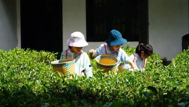​与格兰芬多自行车赛一起邂逅思茅！公园绿地 藏着最惬意的自然与文化之旅丨跟着赛事去旅行