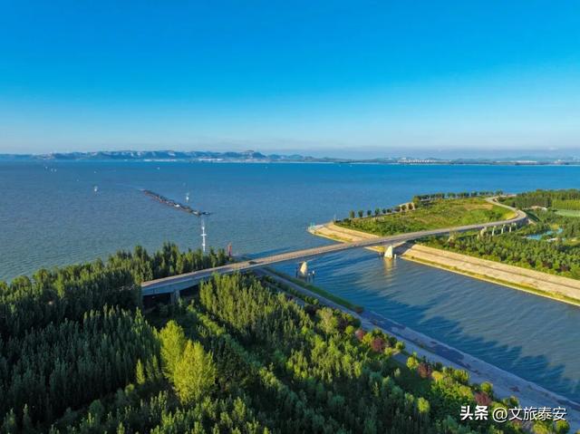 解锁「美拉德」色系！东平的秋天是懂氛围感的，朋友圈晒这些图绝对赢麻！