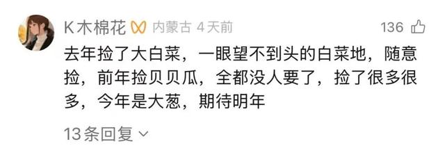 内蒙古“捡土豆”之后还有“隐藏款”？网友：明年组队去“进货”！