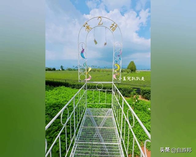 南投名间景点 天空步道、茶园秘境、品味台湾茶文化