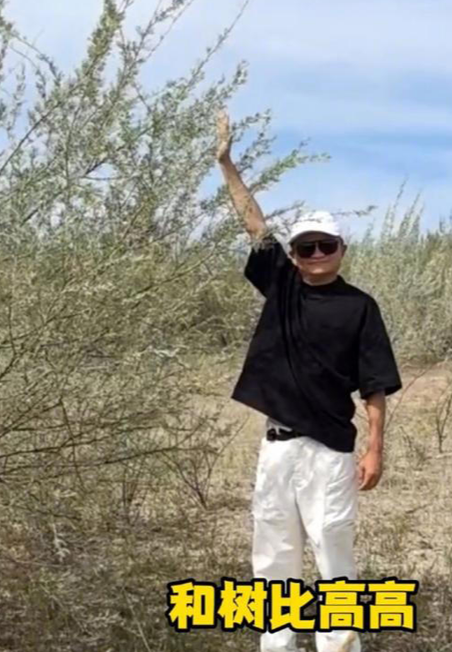马云11年前的预言成真了！这次一出手便切中要害，该慌的不止百度