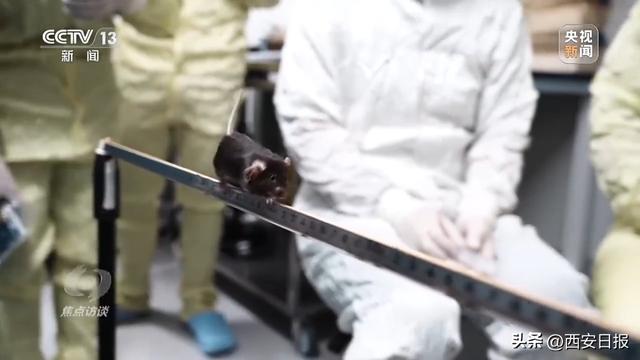 中国航天奏响新乐章 神二十一有接力更有突破！