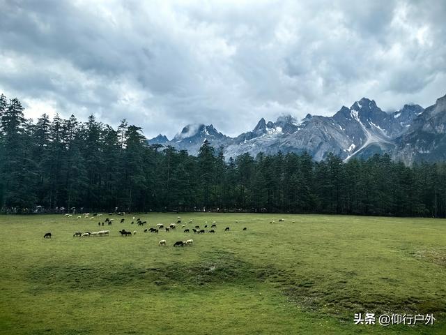 丽江玉龙雪山 蓝月谷
