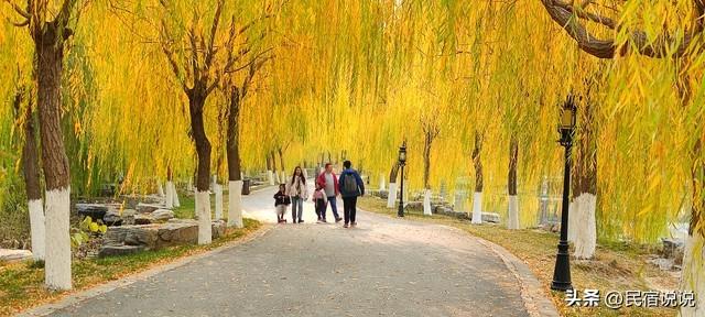 “狗都不理”的天津，看到这些知道我又错了！