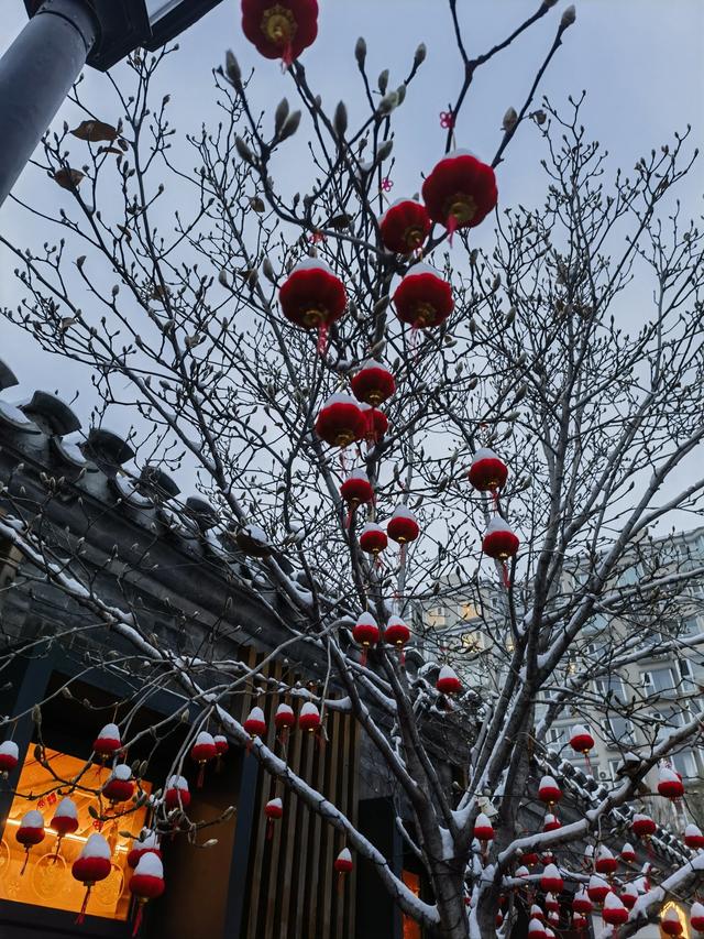 北京初雪 “稳了”！没想到：故宫本周六门票，秒光！