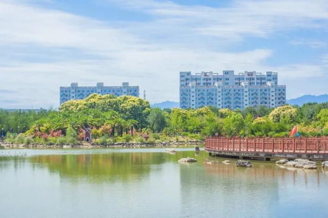 喜讯！西北农林科技大学康振生院士荣获陕西省最高科学技术奖！