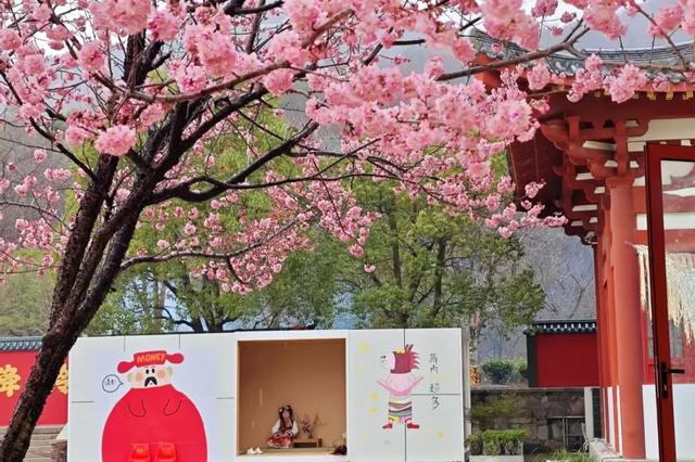 观音湖梅樱盛放！承包你的赏花浪漫