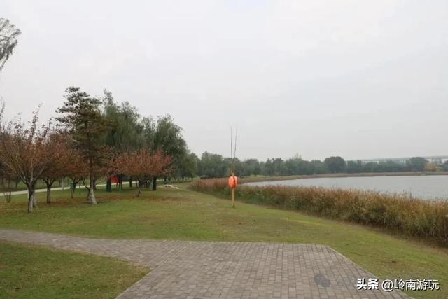 全部免费！渭河南河堤路赏秋攻略大全，那风景简直美爆了！