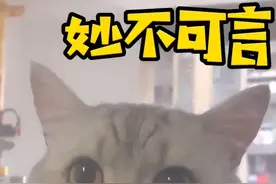 当宠物看到你在家羞羞时，会怎么想呢？图片