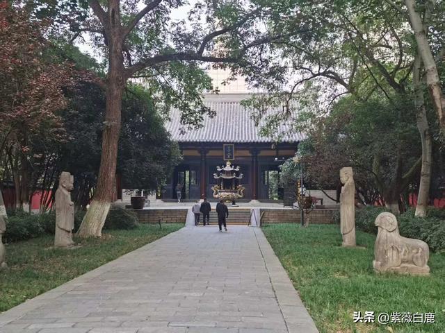 合肥有个包青天