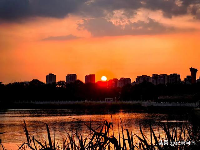 双城辉映:北京与上海的独特魅力,姚洋先居北京后定居上海太厉害