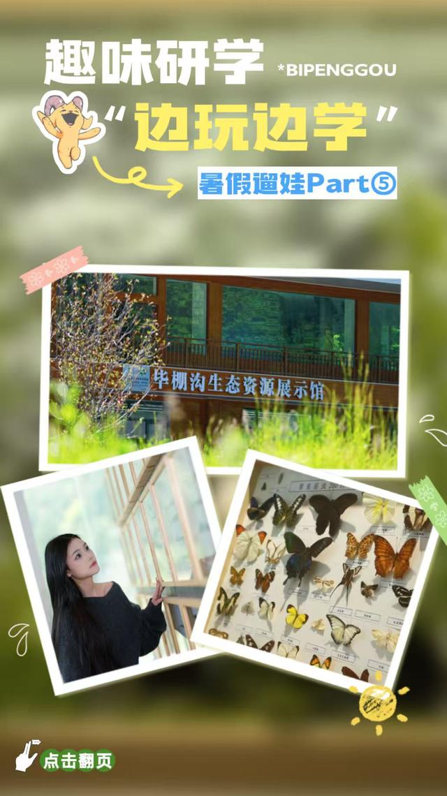 暑假遛娃去哪？毕棚沟游玩手册已上线！