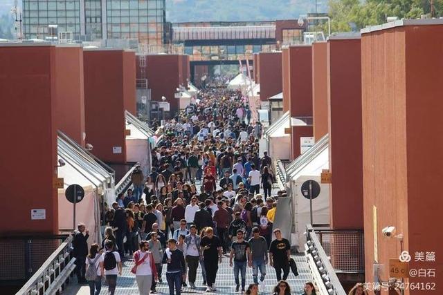 卡拉布里亚大学的松树