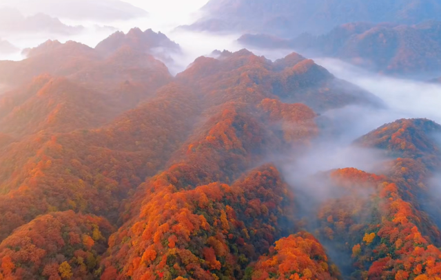 四川低调的赏秋胜地，秋色不输九寨沟，被称为"中国红叶第一山"