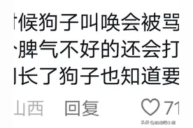 山西的午睡文化有多强！只是没想到，已经到了不分物种的地步！图片