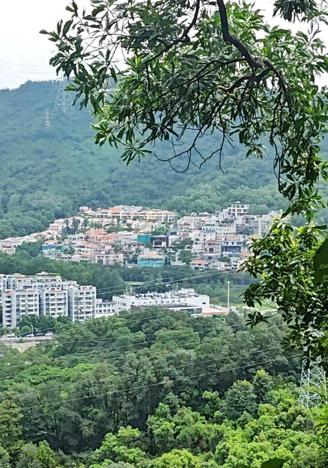 深圳高颜值公园推荐，笔架山公园，湖光山色俯瞰深圳