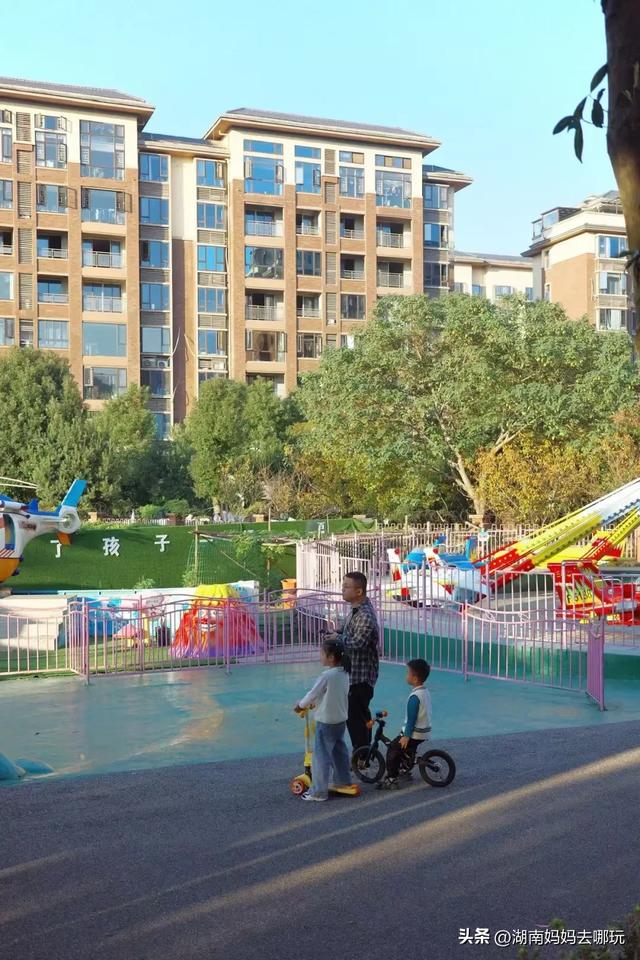 藏不住了!望城这片小众银杏秘境已到最佳观赏期,还能露营、骑行、摘果子