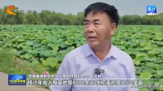 沿着河湖看河北 | ⑤ 滏阳河：清流绕城 生态富民