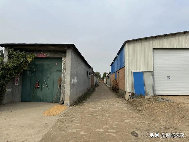 冠县乡韵·桑阿镇轧庄