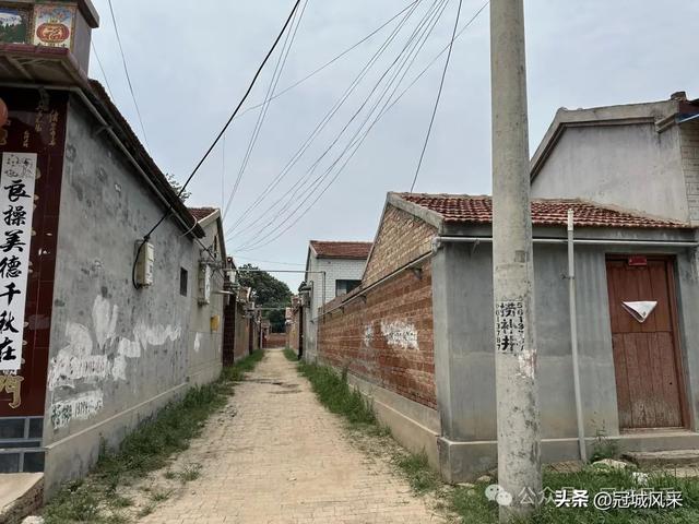 冠县乡韵·甘官屯镇太平庄