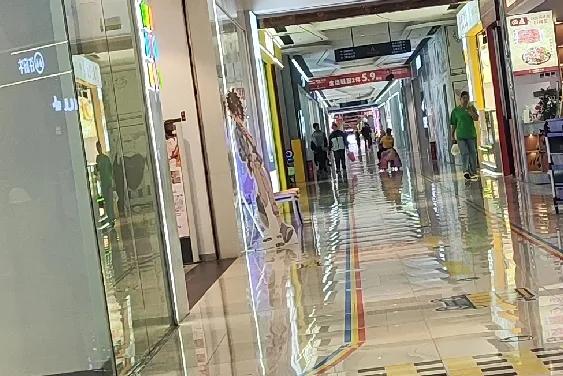 在游乐场附近，能够看到什么呢？