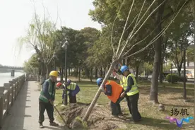 人在画中跑 扬马赛道开启“精细化”景观提升图片