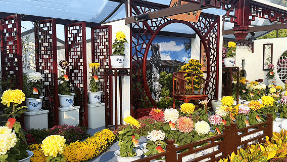 冬天来了，开封更好玩了！