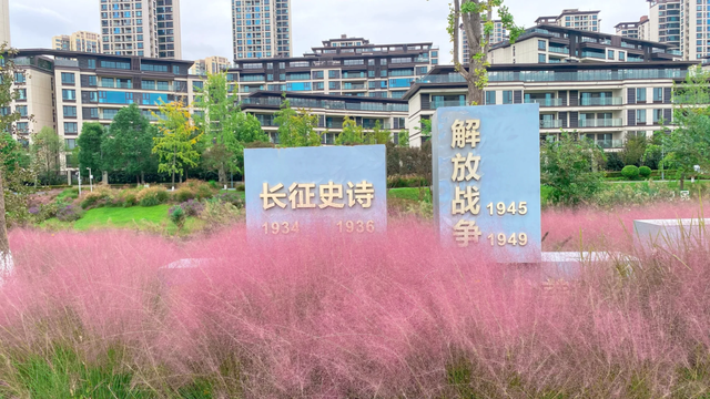 收藏！成都5个小众粉黛子花海，绝美0门票、拍照超出片