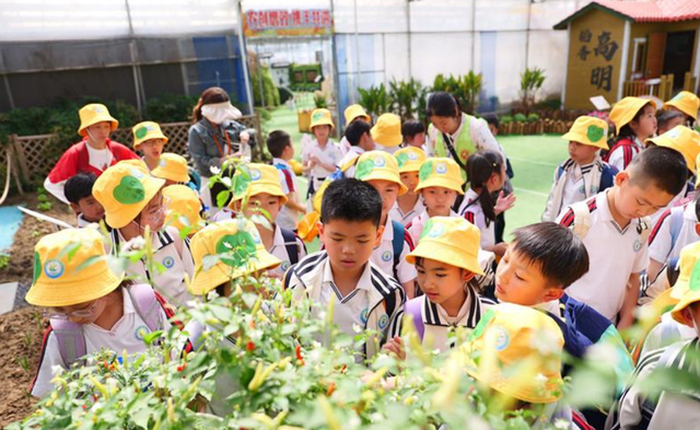 遛娃首选！12月3日佛山农科所开园，这个月都有得睇！