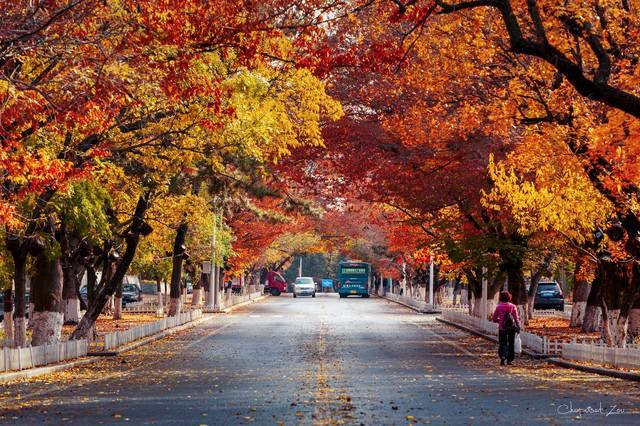 不藏了，美景天成：去辽宁这五处红叶佳景，体验最诗意的北国