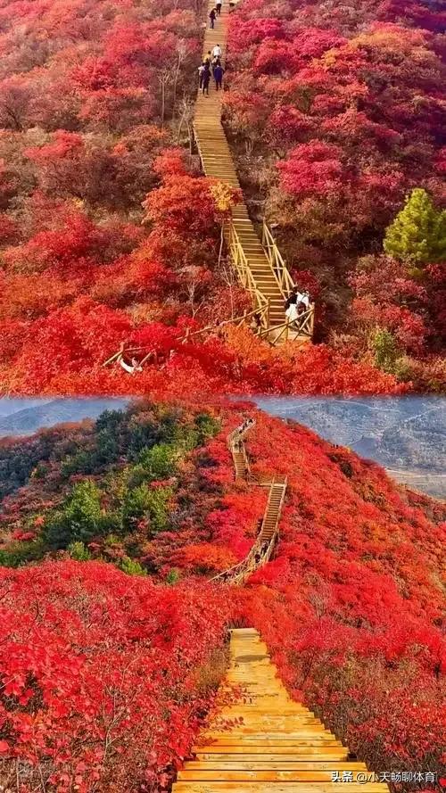9 - 10 月最适合去的十大景区，最后一处堪称打卡圣地