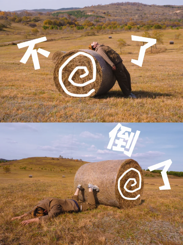 从冬粮到网红！内蒙古的草垛们正在集体“内卷”