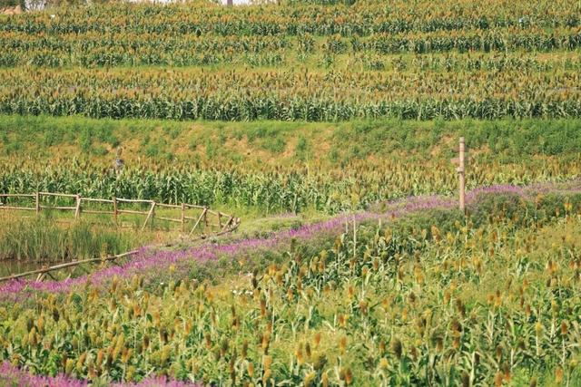 又有景区“升咖”了