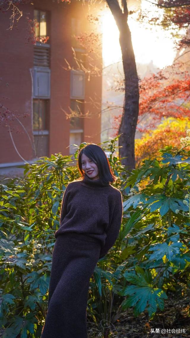 【每日一景】“枫”景这边独好 中山植物园红枫岗