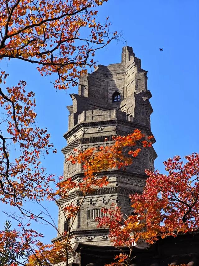 逛起来！8小时10个公园！