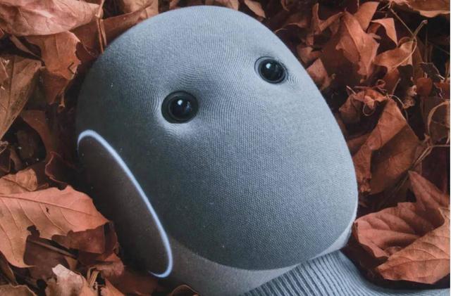 真·首个进家的人形机器人来了！两万美元	，开启预定