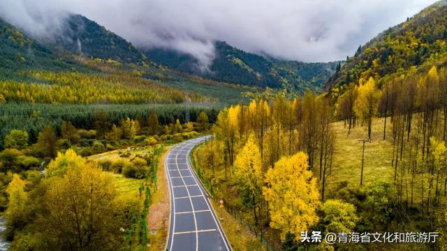 秋色漫卷海东，一场山水林间的浪漫叙事