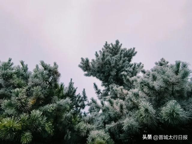 今早！晋城这里美翻了！