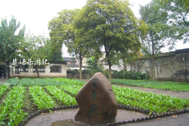绍兴鲁迅点烟的版画居然被吐槽？有点矫枉过正，但周边的景色真美