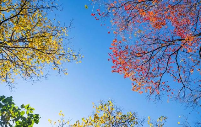 【多图预警！】这里不是5A景区，是鲁南制药！