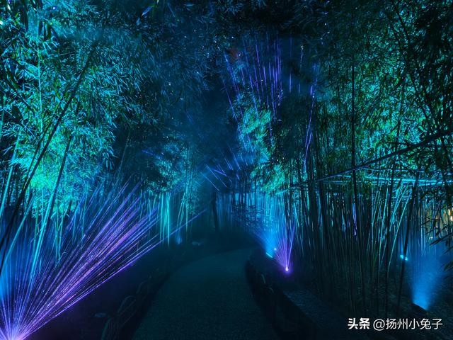 犹如仙境的夜游，消弭了盛夏的酷热感