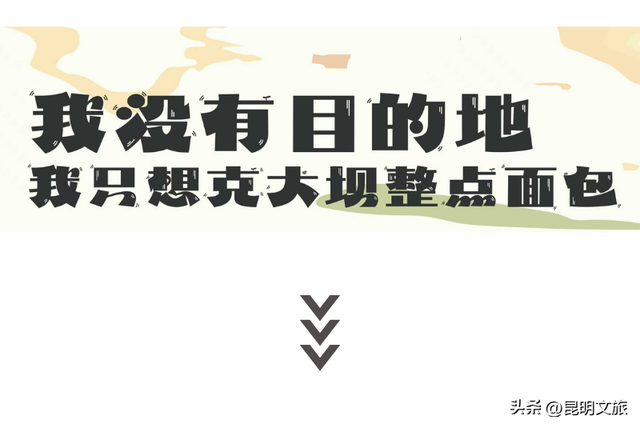 活动预告 | 春城生活主义 ·「 鸥遇正好 」