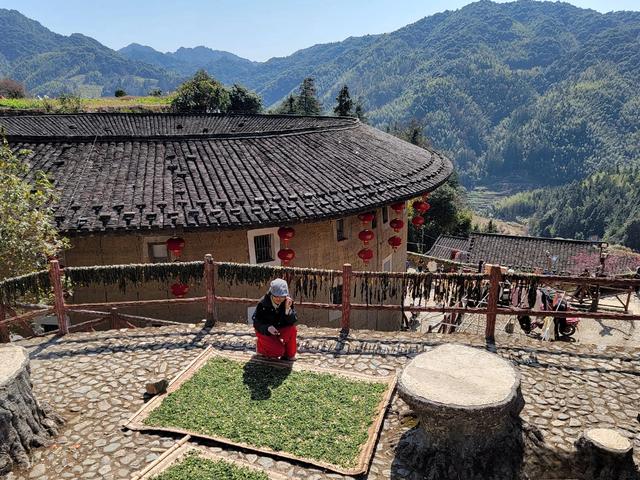 土楼拾光①:福建土楼景区——田螺坑片区（2025.2.9 漳州·南靖）