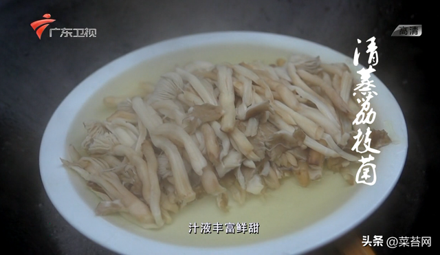 老广的味道 鱼肚花胶是哪期 老广的味道第五季鱼露