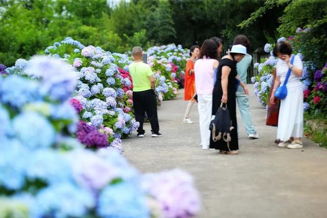 在贵阳这些宝藏村落，把夏天过成“爽文”！