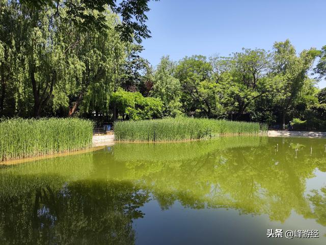 西安革命公园，原来背后藏着二虎守长安的故事