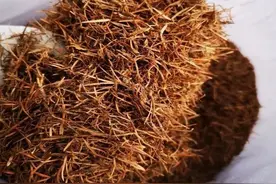 3种不要钱的“天然土壤”，你家附近就有，效果比营养土强10倍！图片