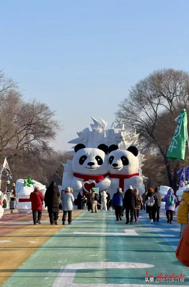 以“芝麻”“芝士”为原型，太阳岛雪博会巨型熊猫雪雕亮相