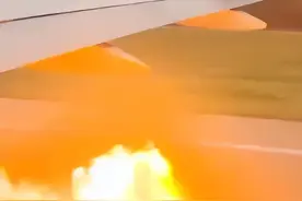 一客机起飞时急刹！乘客：看到火光图片