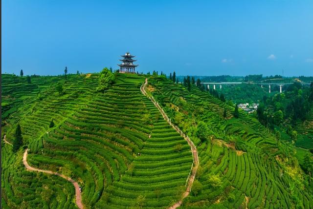 不止于“路过”！雅安文旅破局记，看小城如何盘活熊猫与公路IP